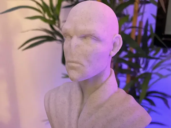 https://makerworld.bblmw.com/makerworld/model/US1997e353b84c56/design/2025-02-16_5bc39899322af.png