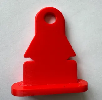 Lifetime Shed Hasp