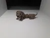 4 colours AMS - 0.2mm layer, 2 walls, 10% infill