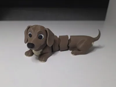 Dachshund Jettorino the flexible puppy