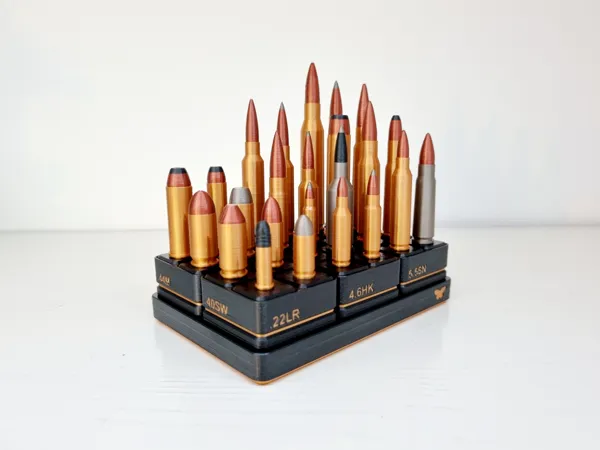 https://makerworld.bblmw.com/makerworld/model/US19a296d7e18cd3/design/2024-06-23_f4986880e7ea3.jpg