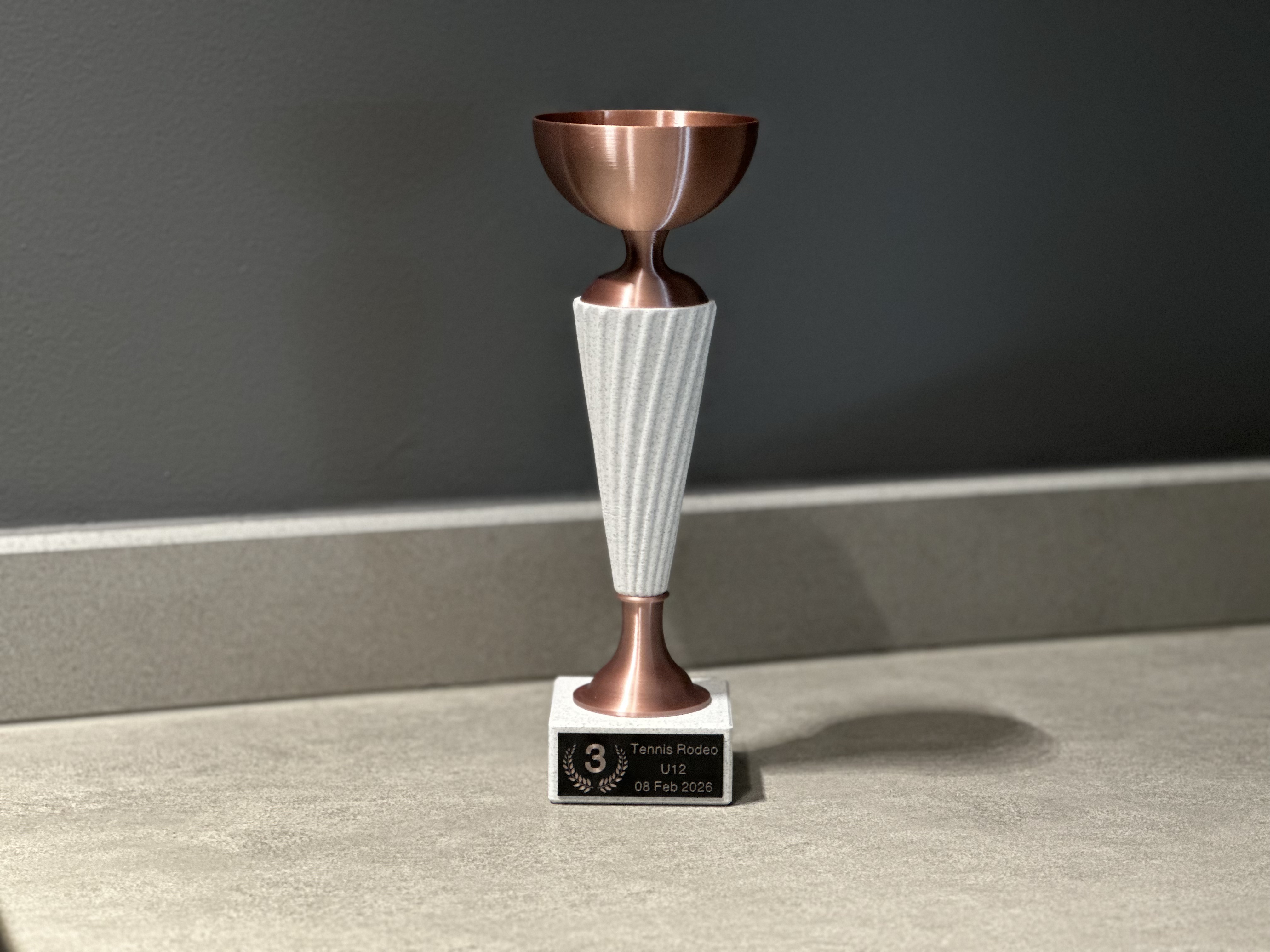 Miniatura 3 do modelo 3D Composable Trophy – Modular Award System