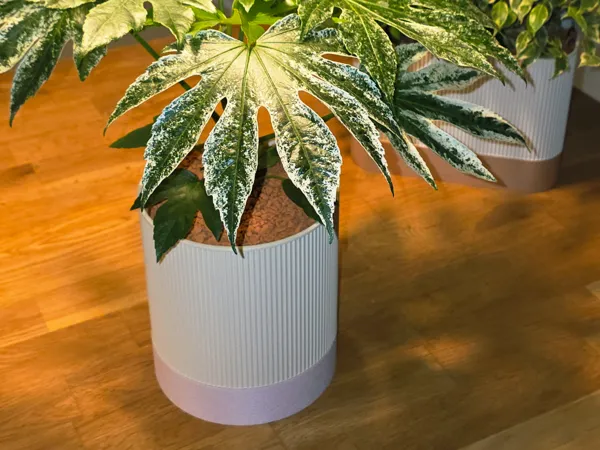 https://makerworld.bblmw.com/makerworld/model/US19a32f5f29b8de/design/b917e68d07d13deb.jpg