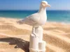 Seagull on Bollard - 0.2mm layer, 2 walls, 15% infill