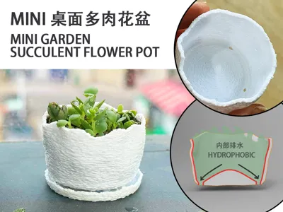 Mini Desktop Succulent Planter Mini Garden Succulent Flower Pot