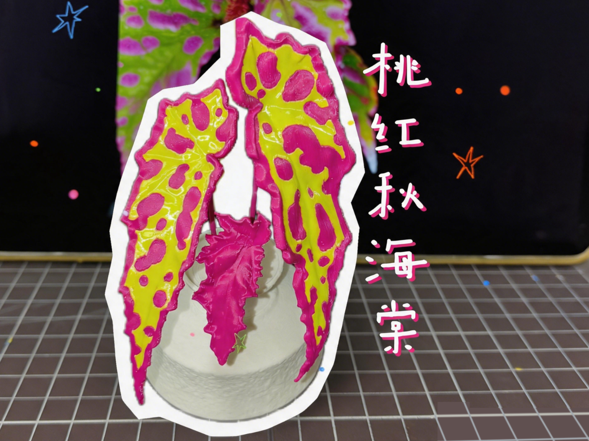 Miniatura 1 do modelo 3D 桃红秋海棠【双色打印/可做冰箱贴】