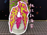 0.12mm 层高, 2 层墙, 5% 填充