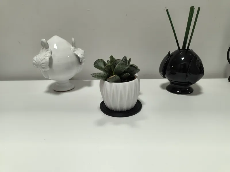 Vaso per pianta Grassa