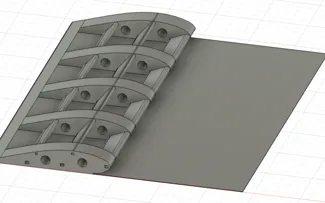 Wing with Membrane