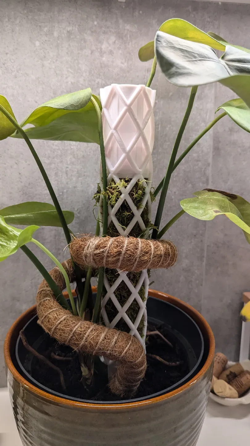 Moos Stab | Moss Pole - self watering - Free 3D Print Model - MakerWorld