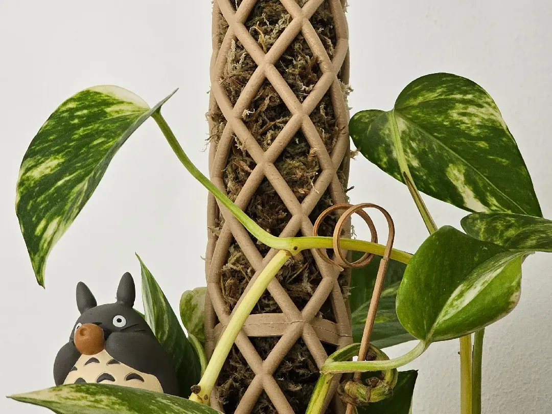 Moos Stab | Moss Pole - self watering - Free 3D Print Model - MakerWorld