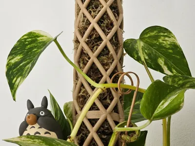 Moos Stab | Moss Pole - self watering