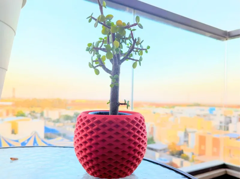 Interlocking Spiral Planter