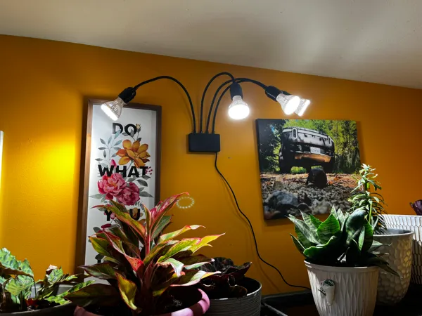 https://makerworld.bblmw.com/makerworld/model/US19bf7f41ce502a/design/2024-10-30_d6bf0b6b7c3a2.jpg