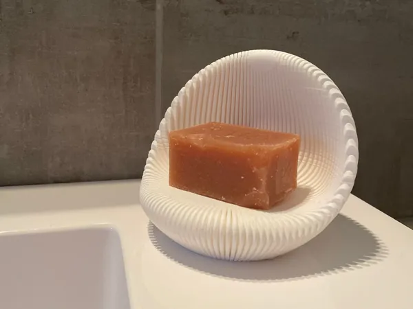 https://makerworld.bblmw.com/makerworld/model/US19c14fdcd33a9/design/7437fa352ff4b75a.jpeg