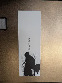 0.08mm layer, 2 walls, 100% infill
