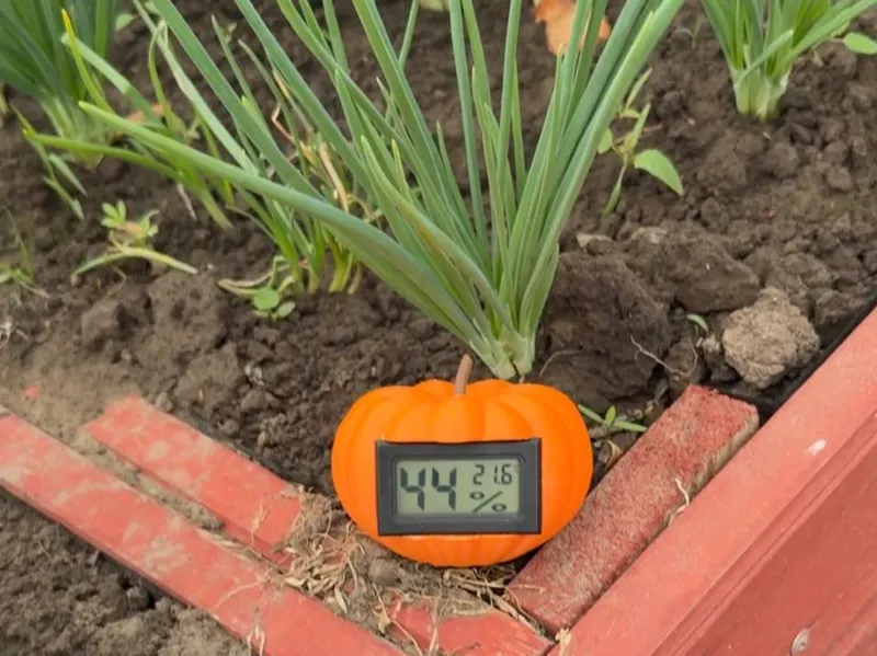 Pumpkin Thermometer Hygrometer Stand