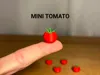 Mini Tomato - 0.12mm layer, 2 walls, 15% infill