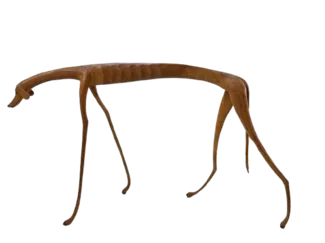 Wooden Dog