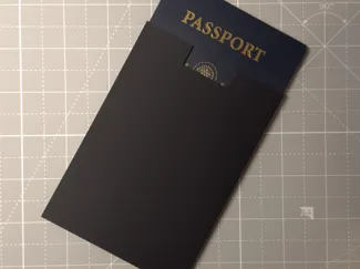 Modern Slim Perfect Fit Hard Shell Passport Sleeve