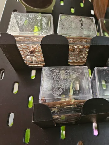 Modelo para impresión 3D: Rhizom Cube Halter passend für Ikea Skadis — vista de referencia 2