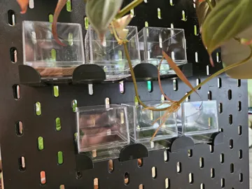 Modelo para impresión 3D: Rhizom Cube Halter passend für Ikea Skadis — vista de referencia 3