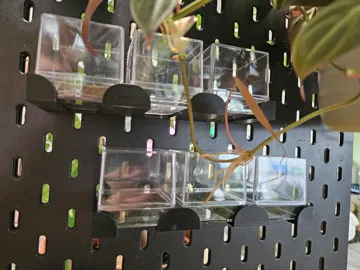 Modelo para impresión 3D: Rhizom Cube Halter passend für Ikea Skadis — vista de referencia 4