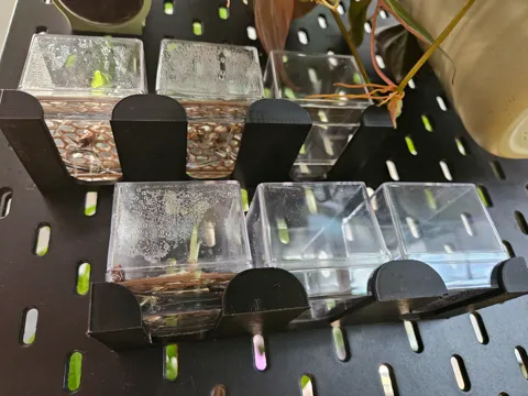 Modelo para impresión 3D: Rhizom Cube Halter passend für Ikea Skadis — referencia de MakerWorld