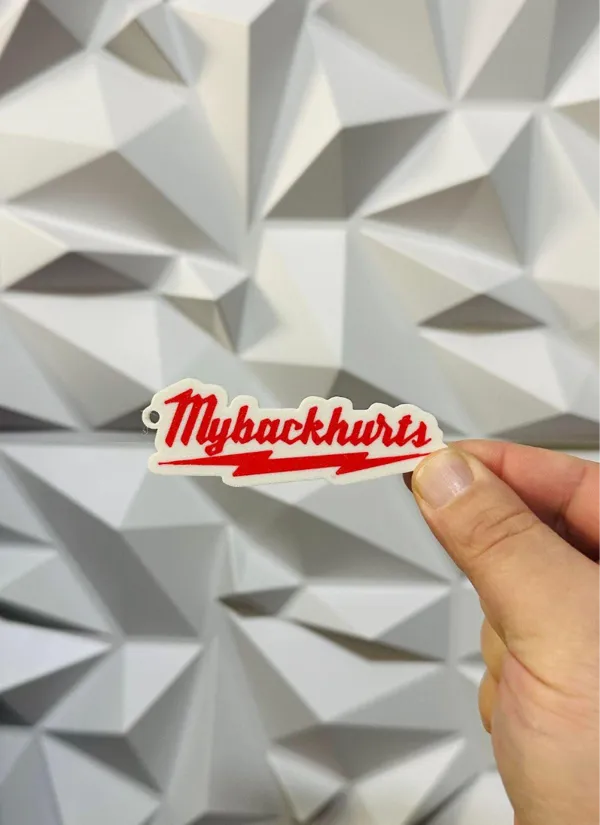 https://makerworld.bblmw.com/makerworld/model/US19ca57f15529b0/design/2024-06-06_a6a7b01f6051c.jpg