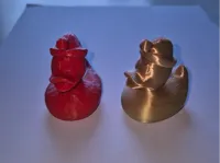 Canard Père Noël — photo 2