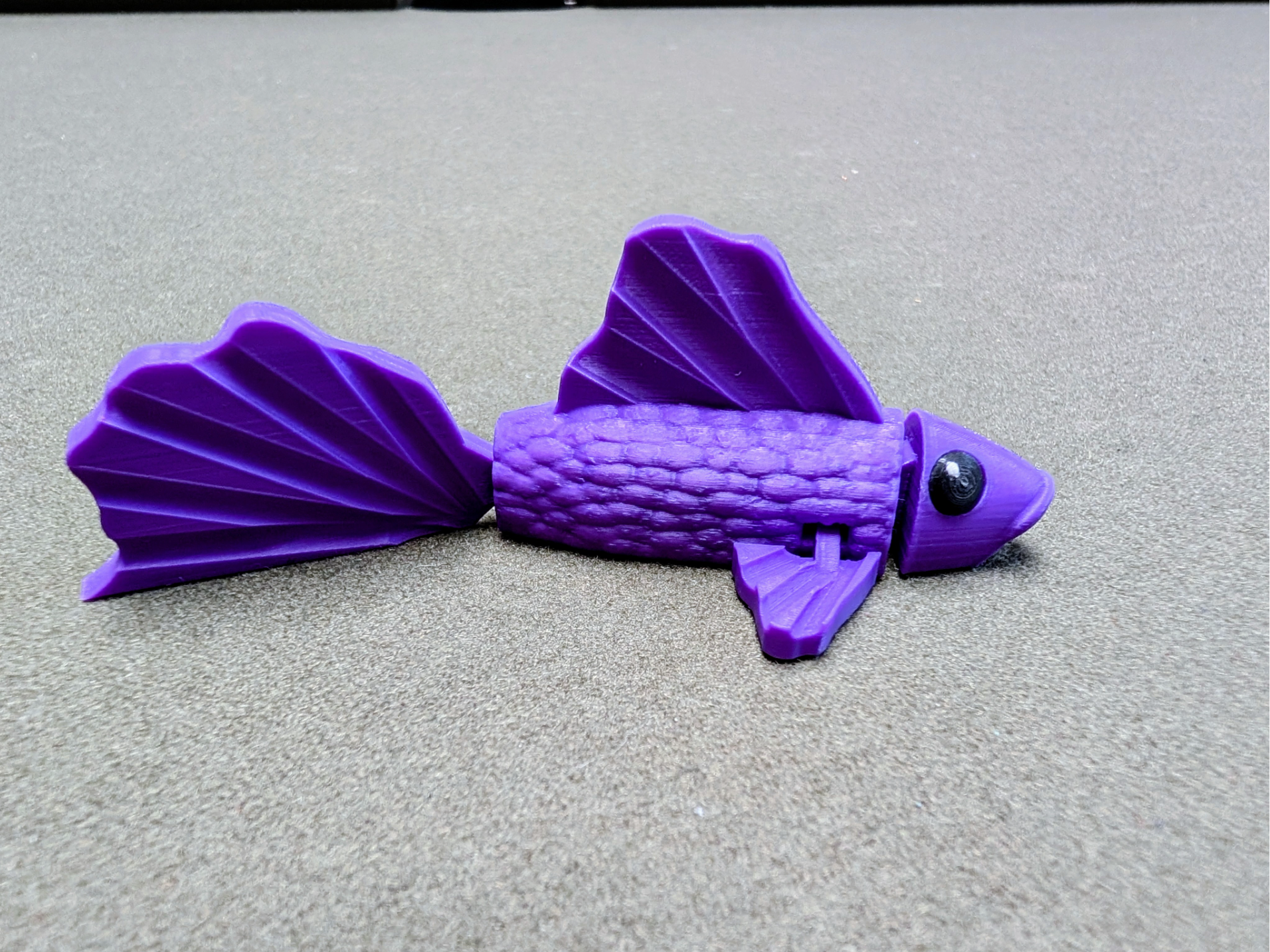 Flexi Beta Fish