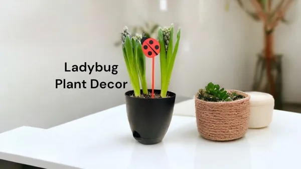 https://makerworld.bblmw.com/makerworld/model/US19cd2a44c4a982/design/2024-04-03_a5bdc1ad635d6.jpg