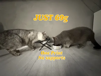 Timeless Cat bowl holder .. No support! No glue!