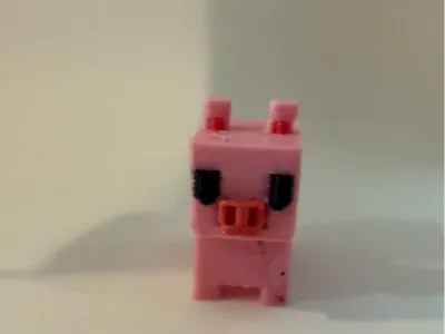 Pig