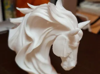 Busto cavallo