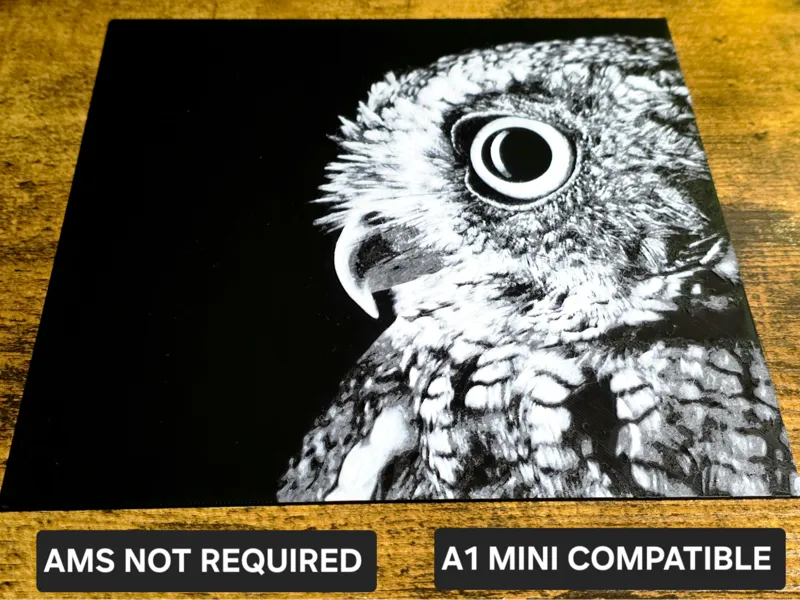 Owl Portrait