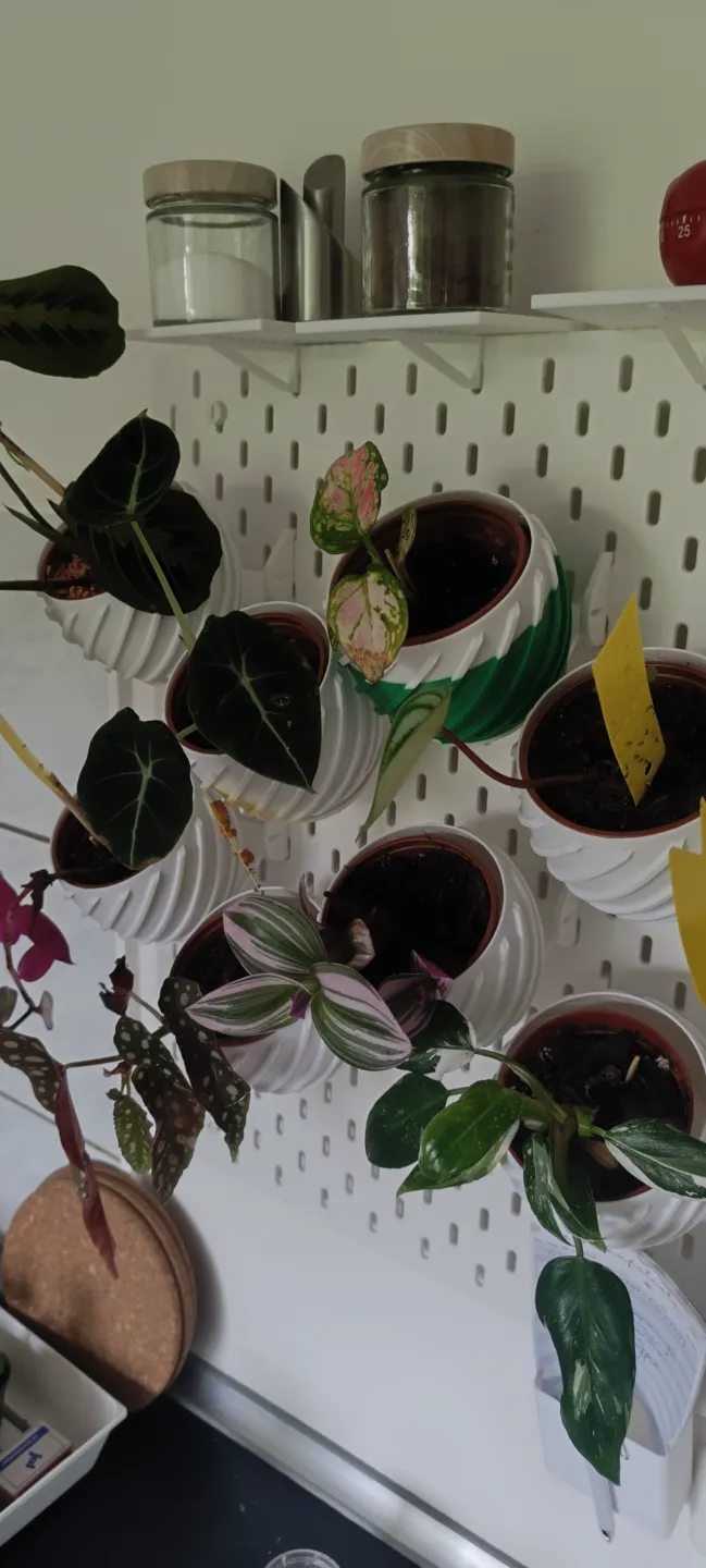 Skardis Blumentopf