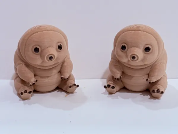 https://makerworld.bblmw.com/makerworld/model/US19e5637e4c2150/design/2025-11-27_5402269ce2534.jpeg
