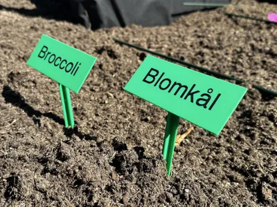 plant tag customizable text