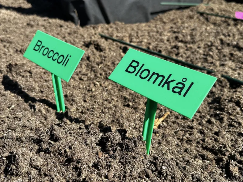 plant tag customizable text