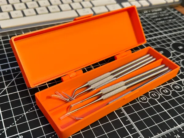 https://makerworld.bblmw.com/makerworld/model/US19e75565250920/design/2024-06-26_f24f94e30acb4.jpg