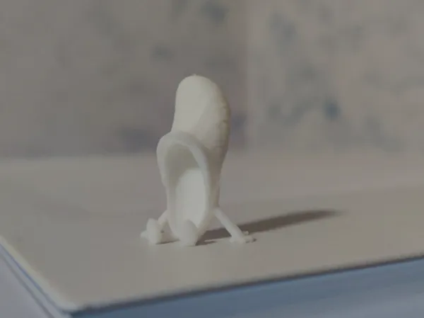 https://makerworld.bblmw.com/makerworld/model/US19e95f0f49adf7/design/2025-03-11_54c8e62e13226.jpg