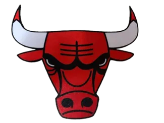 Chicago Bulls Wall Logo