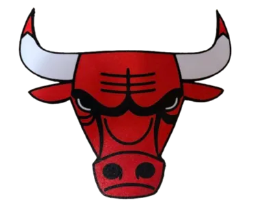 Chicago Bulls Wall Logo
