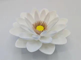 lotus toothpick holder