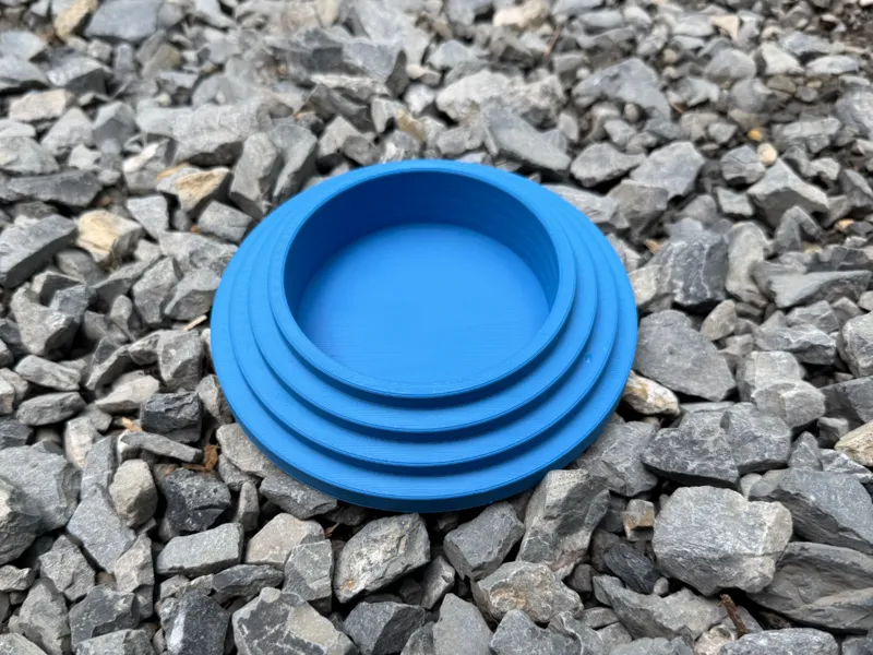 Reptile Feeding Tray