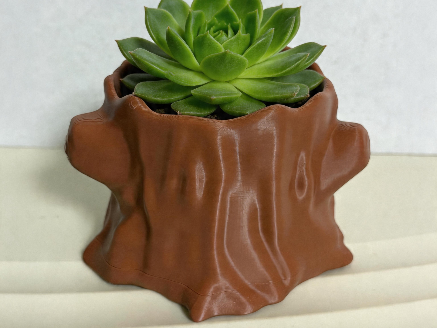 树桩花盆