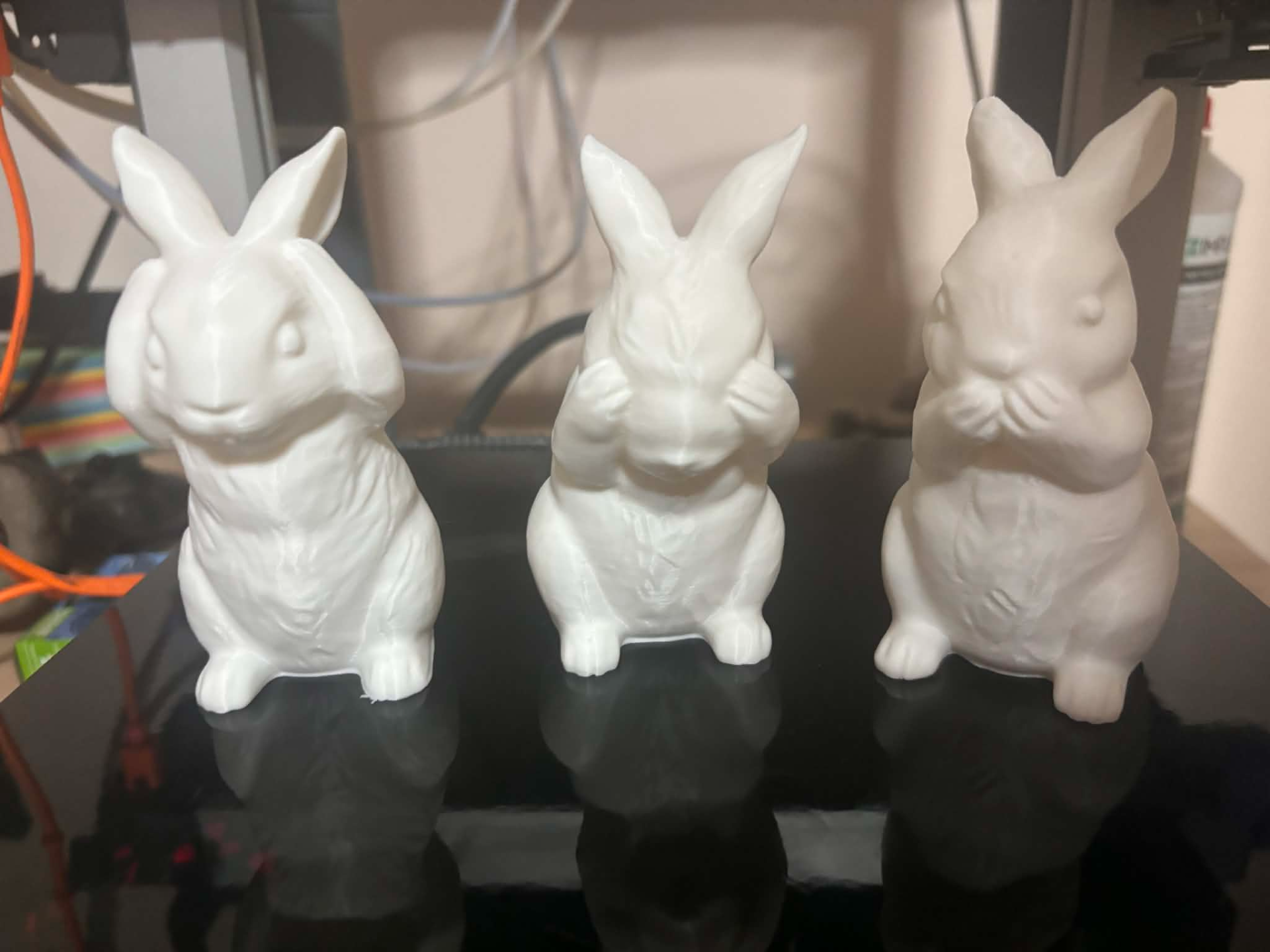 Lapin de la sagesse