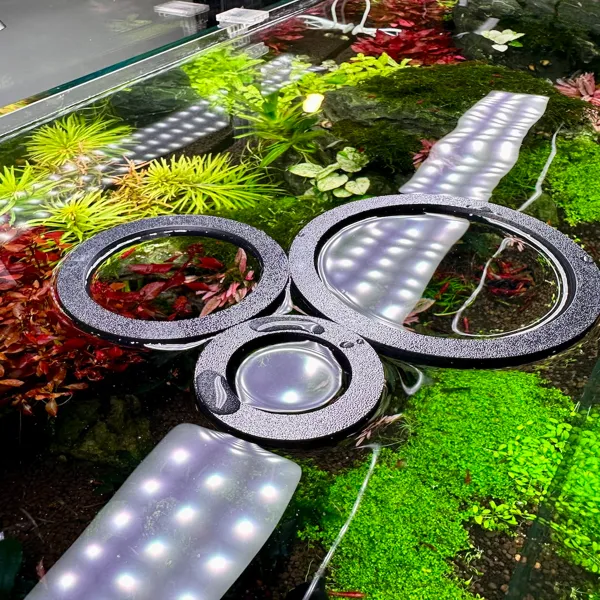 https://makerworld.bblmw.com/makerworld/model/US19fe3d24ca2a64/design/2024-01-18_47ee99a9e7e9b.jpg