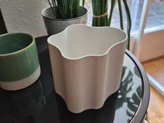 Moderne geschwungene Vase
